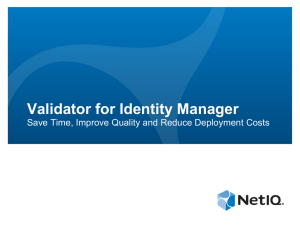Validator for Identity Manager
