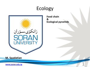 3-Ecology(2)