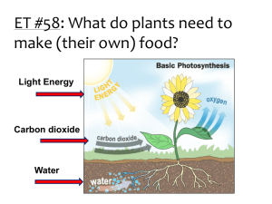 Photosynthesis Lab Preparation Information 2014