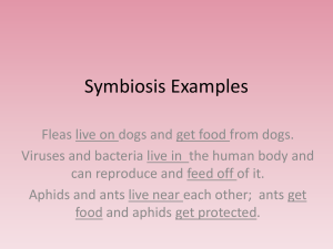 Symbiosis Mutually Beneficial (mutualism)