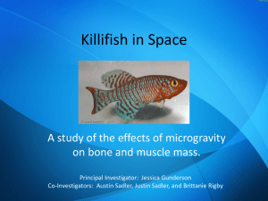 Killifish in Space - SSEP | Student Spaceflight Experiments Program