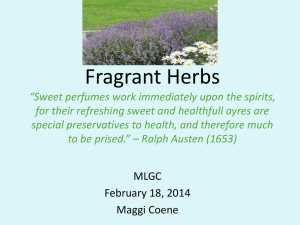 Power Point on Fragrant Herbs - The Mountain Laurel Garden Club