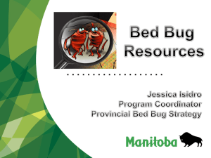 Provincial Bed Bug Strategy Initiatives - Manitoba Non