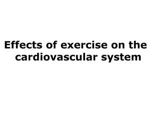 effects of exercise on the heart
