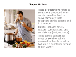 Chapter 15: Taste