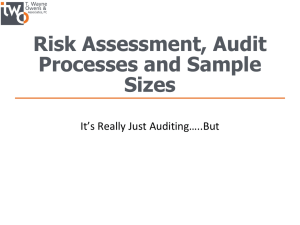 Risk Assessment, Audit Processes and Sample Sizes