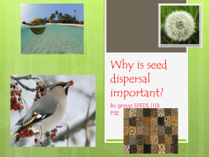 Why is seed dispersal important