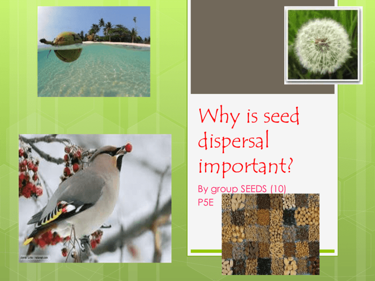 why-is-seed-dispersal-important