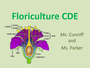 Floriculture CDE