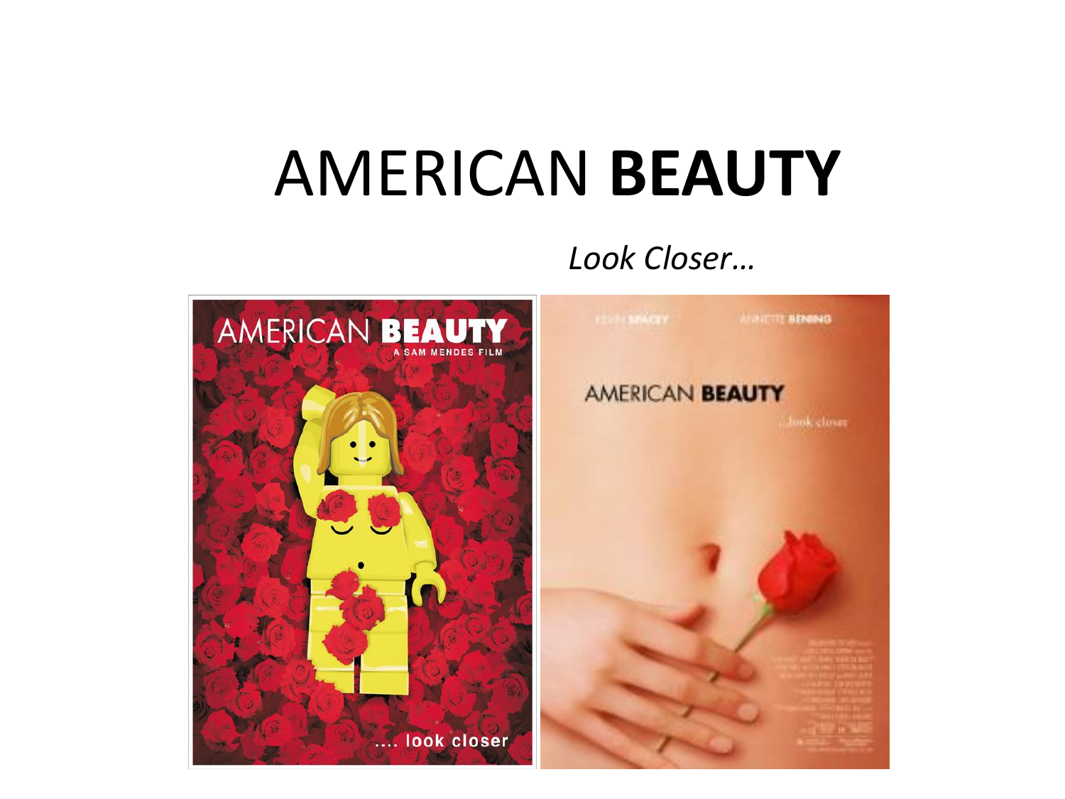 book review an american beauty