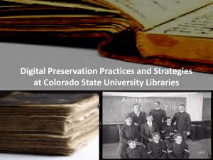Digital Preservation Practices and Strategies at