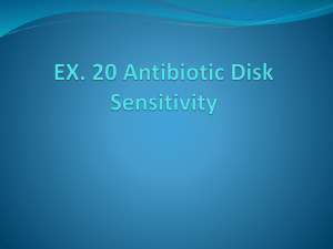 Ex. 20 Antibiotic Disk Sensitivity