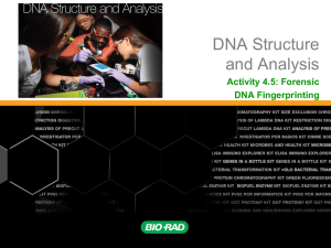 Activity 4.5 Forensic DNA Fingerprinting