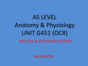 AS LEVEL Anatomy & Physiology UNIT G451 (OCR)