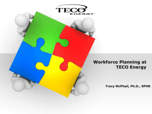 Workforce Planning at TECO Energy