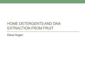 Home detergents and DNA extraction from fruit