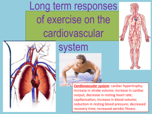 Long term responses of exercise on the cardiovascular system