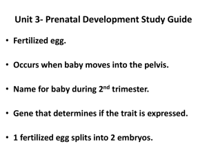 Unit 3- Prenatal Development Study Guide
