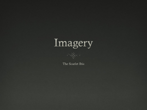 Imagery and The Scarlet Ibis PPT