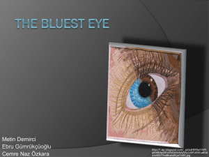 The bluest eye group 3