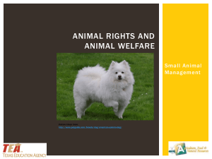 03 A-D Animal Rights & Welfare PPT