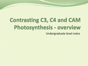 Contrasting C3, C4 and CAM Photosynthesis