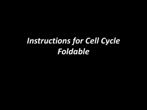 Create a cell cycle folable