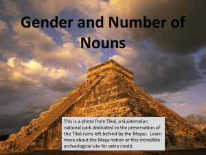 Gender and Number of Nouns