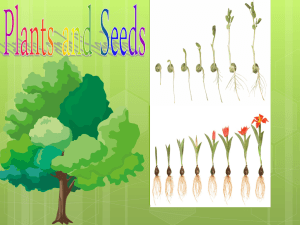 Learn About Plants and Seeds
