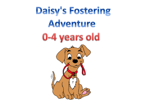 Daisy`s Fostering Adventure Booklet