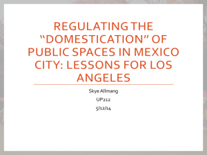 Regulating the “Domestication” of Public Spaces in Mexico City