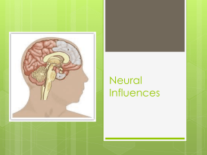 Neural Influences-Holly, Jaydn, Andrew, Oak, Bryan - ITL