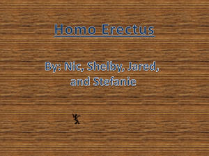 Homo Erectus - Comcast.net