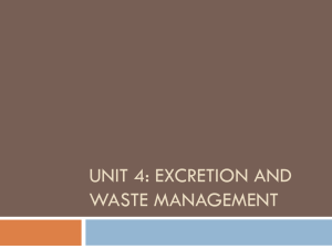 Unit 4: Excretion and Waste Management