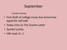 scarlet letter chapter 13 literary devices