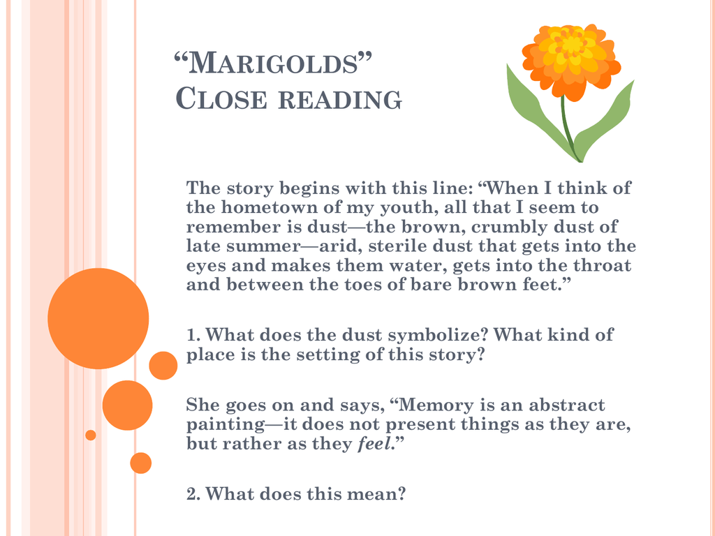 essay on the story marigolds