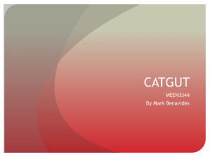 Catgut (Mark Benavidez)