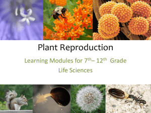 Plant Reproduction Workshop - UCI