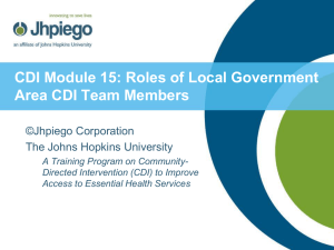Roles of Local Government CDI Team Members