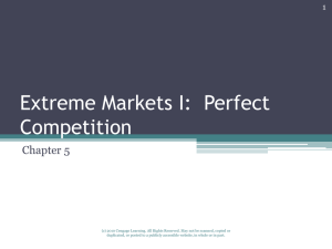 Extreme Markets I: Perfect Competition