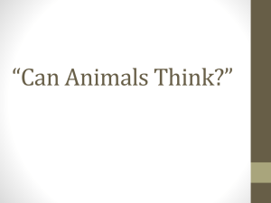 "Can Animals Think" video