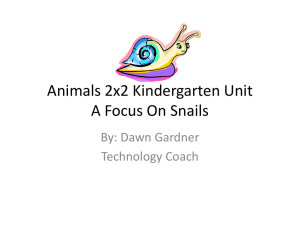 Animals 2x2 Kindergarten Unit