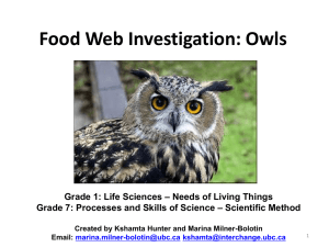 Food Chain and Scientific Method Owls 2011 Final