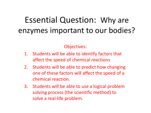 Why are enzymes important to our bodies?