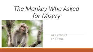 The Monkey Who Asked for Misery
