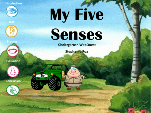 My Five Senses K3 2_8.pptm