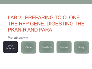 Lab 2: Preparing to clone the RFP gene: digesting the pKAN