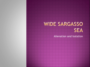 Wide Sargasso Sea-isolation - Mrs