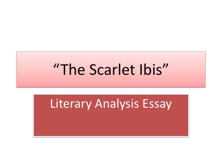 scarlet ibis theme essay
