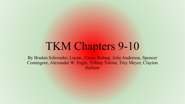 summary chapter 9 to kill a mockingbird